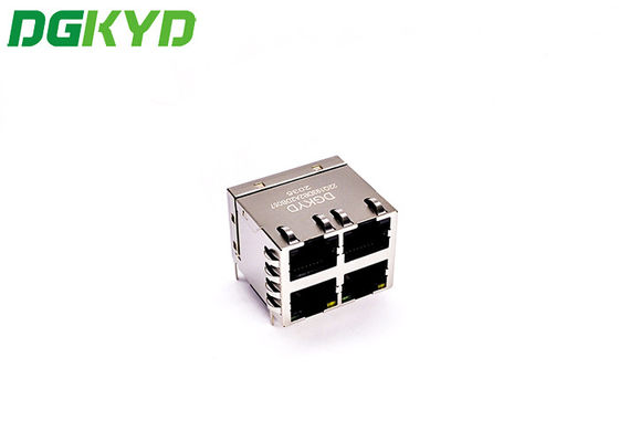 1 Gigabit 2x2 RJ45 Network Connector With PA66 Plastic Housing