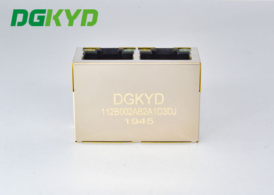 Jack mô-đun 100M BASE-T 1x2 2 Cổng RJ45